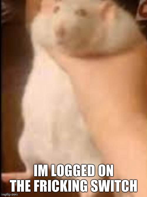 Man holding hamster | IM LOGGED ON THE FRICKING SWITCH | image tagged in man holding hamster | made w/ Imgflip meme maker