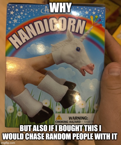 Why | WHY; BUT ALSO IF I BOUGHT THIS I WOULD CHASE RANDOM PEOPLE WITH IT | image tagged in why | made w/ Imgflip meme maker