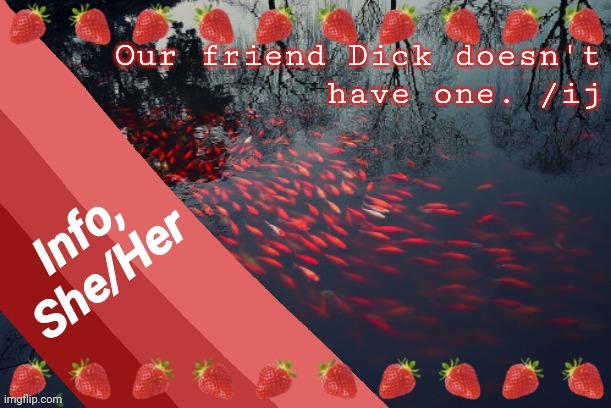 Our friend Dick doesn't
have one. /ij | image tagged in info | made w/ Imgflip meme maker