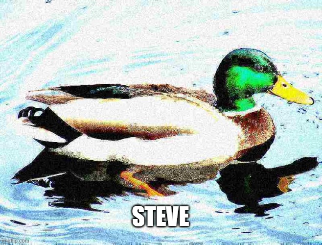 STEVE | made w/ Imgflip meme maker