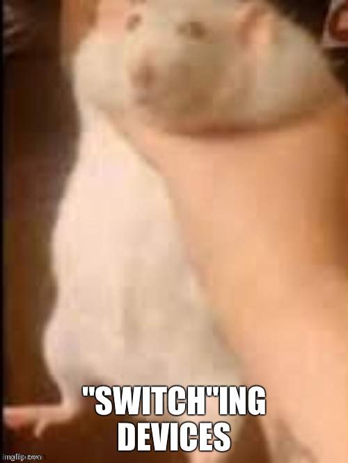 Man holding hamster | "SWITCH"ING DEVICES | image tagged in man holding hamster | made w/ Imgflip meme maker
