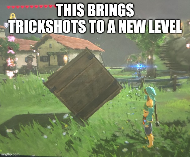 Zelda trickshot | THIS BRINGS TRICKSHOTS TO A NEW LEVEL | image tagged in trickshot,zelda | made w/ Imgflip meme maker