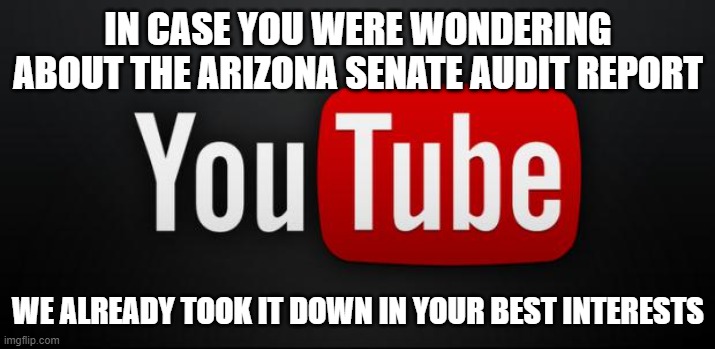 Arizona election troubles | IN CASE YOU WERE WONDERING ABOUT THE ARIZONA SENATE AUDIT REPORT; WE ALREADY TOOK IT DOWN IN YOUR BEST INTERESTS | image tagged in youtube | made w/ Imgflip meme maker