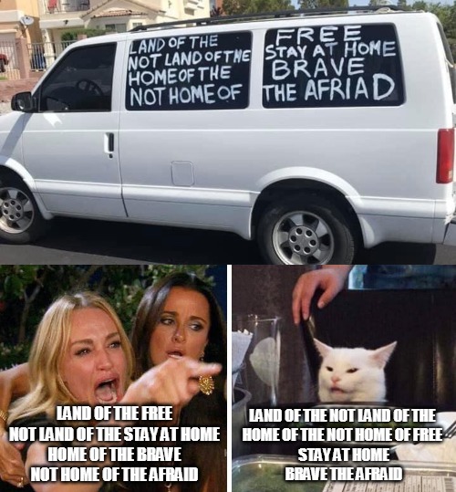 LAND OF THE FREE
NOT LAND OF THE STAY AT HOME
HOME OF THE BRAVE
NOT HOME OF THE AFRAID; LAND OF THE NOT LAND OF THE 
HOME OF THE NOT HOME OF FREE 
STAY AT HOME
BRAVE THE AFRAID | image tagged in smudge the cat,memes | made w/ Imgflip meme maker