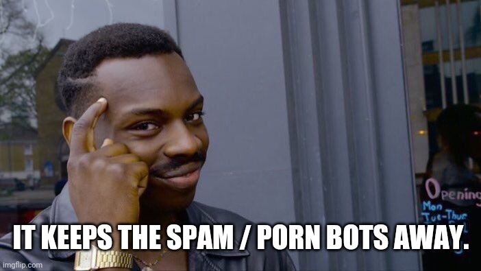 Roll Safe Think About It Meme | IT KEEPS THE SPAM / PORN BOTS AWAY. | image tagged in memes,roll safe think about it | made w/ Imgflip meme maker