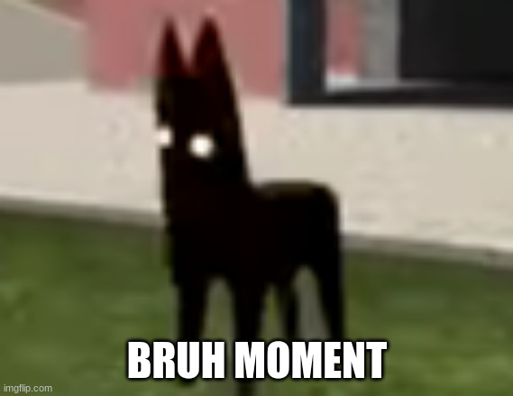 Good Boy | BRUH MOMENT | image tagged in good boy | made w/ Imgflip meme maker