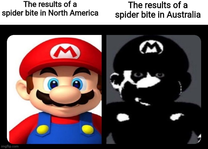 Australia has a lot of deadly animals and insects! | The results of a spider bite in North America; The results of a spider bite in Australia | image tagged in mario v s dark mario | made w/ Imgflip meme maker