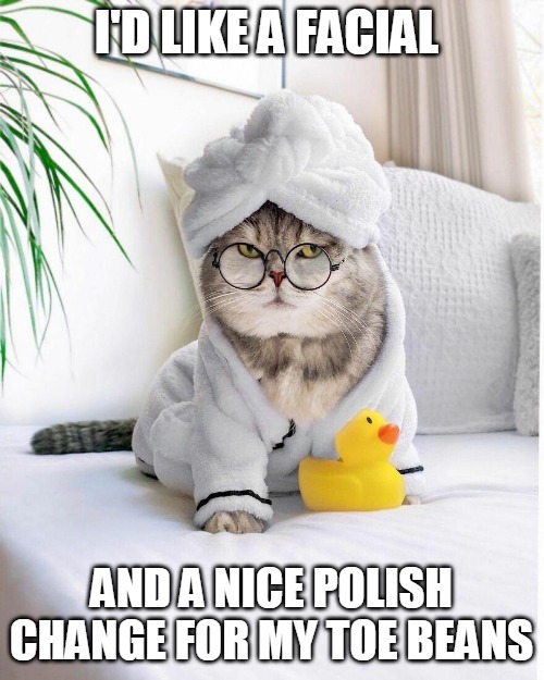 I'D LIKE A FACIAL; AND A NICE POLISH CHANGE FOR MY TOE BEANS | image tagged in memes,cat,cats,spa,toe beans,Catmemes | made w/ Imgflip meme maker