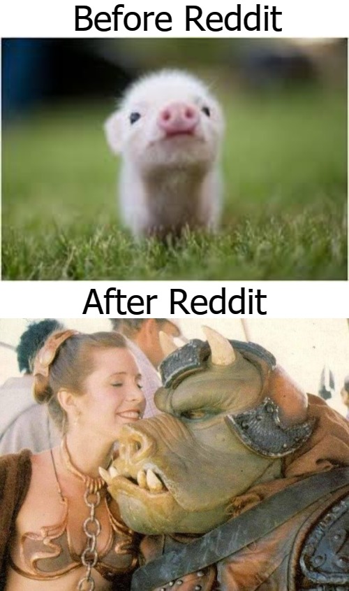 Before Reddit; After Reddit | image tagged in reddit | made w/ Imgflip meme maker