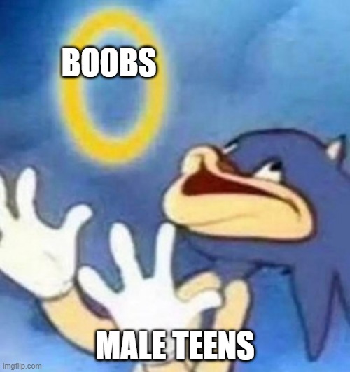 Sonic | BOOBS; MALE TEENS | image tagged in sonic | made w/ Imgflip meme maker