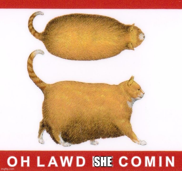 OH LAWD HE COMIN | SHE | image tagged in oh lawd he comin | made w/ Imgflip meme maker