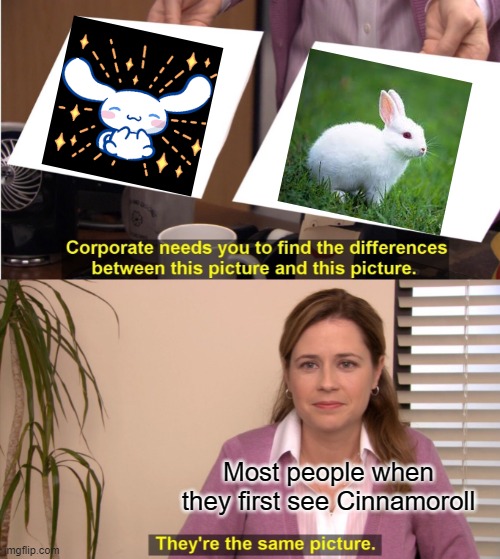 Just a random meme I made | Most people when they first see Cinnamoroll | image tagged in memes,they're the same picture | made w/ Imgflip meme maker