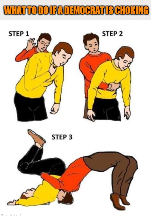 Help your fellow Democrat | WHAT TO DO IF A DEMOCRAT IS CHOKING | image tagged in democratic socialism,democrats | made w/ Imgflip meme maker