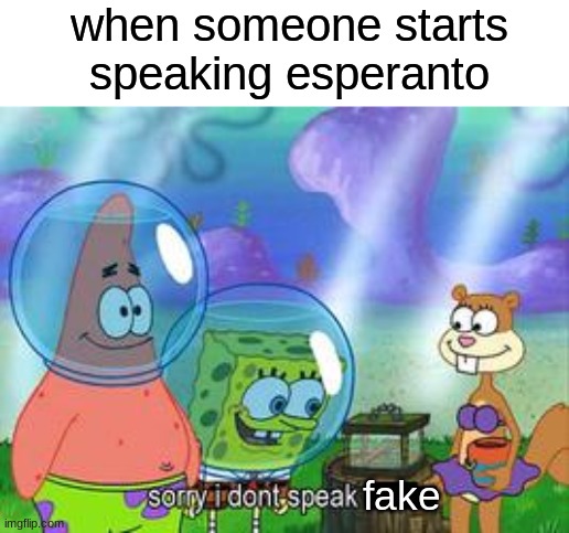 fhfhfhrgrgrhfhfuy | when someone starts speaking esperanto; fake | image tagged in sorry i don't speak ____,memes,funny | made w/ Imgflip meme maker