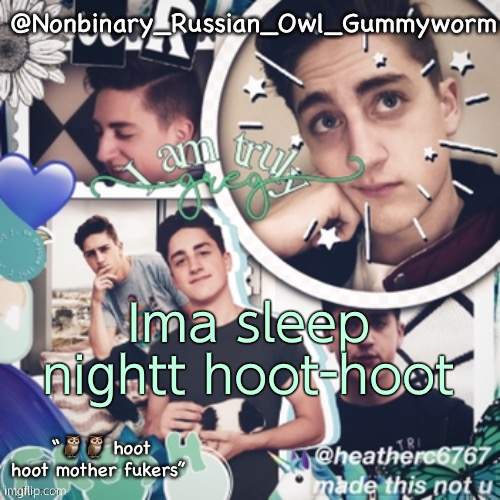 nightt | Ima sleep nightt hoot-hoot | image tagged in gummyworms simp temp and yes that is what it s called | made w/ Imgflip meme maker