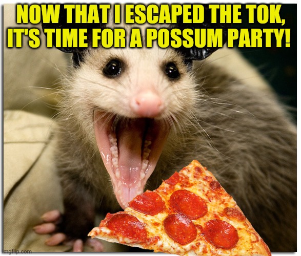 Another possum meme! | NOW THAT I ESCAPED THE TOK, IT'S TIME FOR A POSSUM PARTY! | image tagged in repost,possum,party,pizza | made w/ Imgflip meme maker