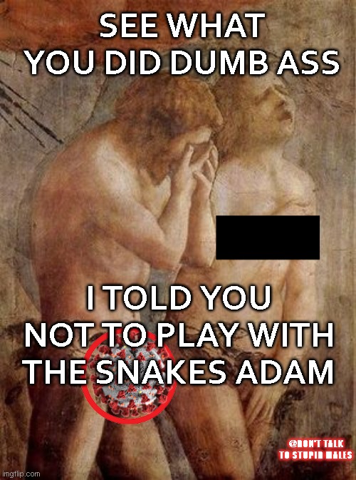 Gender Reveal Parties | SEE WHAT YOU DID DUMB ASS; I TOLD YOU NOT TO PLAY WITH THE SNAKES ADAM; @DON'T TALK TO STUPID MALES | image tagged in adam and eve frustrated,men,epic fail,he is about to say his first words | made w/ Imgflip meme maker