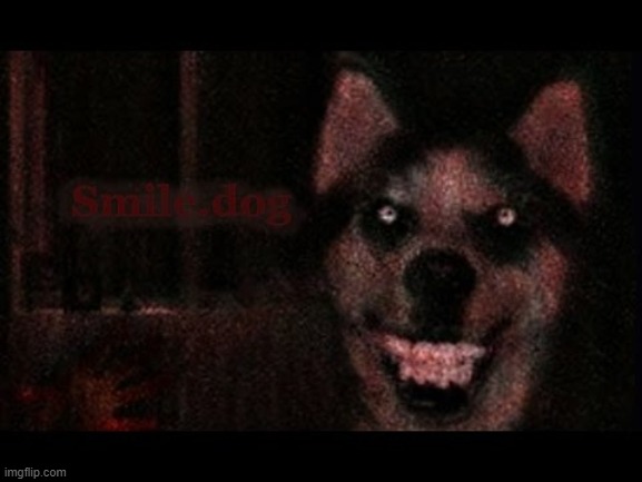 There is no way im petting this dog | image tagged in creepypasta,smile dog | made w/ Imgflip meme maker