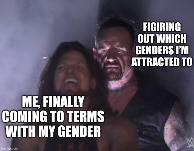 Mmmm... this will be  F U N  ... | FIGIRING OUT WHICH GENDERS I’M ATTRACTED TO; ME, FINALLY COMING TO TERMS WITH MY GENDER | image tagged in undertaker | made w/ Imgflip meme maker
