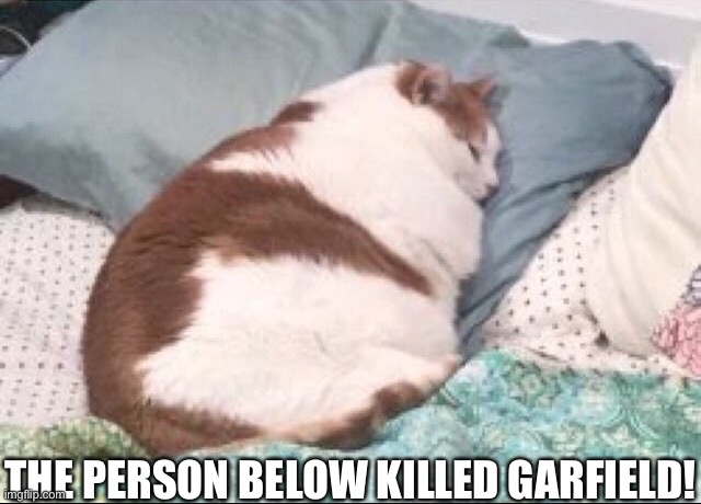 THE PERSON BELOW KILLED GARFIELD! | made w/ Imgflip meme maker