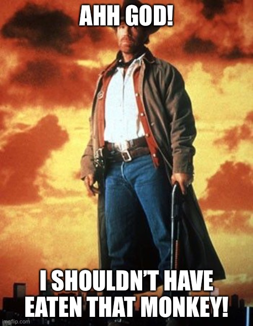 walker texas ranger | AHH GOD! I SHOULDN’T HAVE EATEN THAT MONKEY! | image tagged in walker texas ranger | made w/ Imgflip meme maker