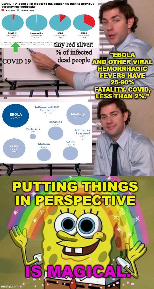 Get Some Perspective | "EBOLA AND OTHER VIRAL HEMORRHAGIC FEVERS HAVE 25-90% FATALITY. COVID, LESS THAN 2%."; tiny red sliver: 
% of infected 
dead people; COVID 19; PUTTING THINGS IN PERSPECTIVE; IS MAGICAL. | image tagged in jim halpert explains,memes,imagination spongebob | made w/ Imgflip meme maker