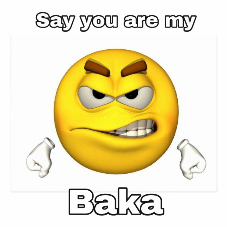 Say you are my baka Blank Meme Template