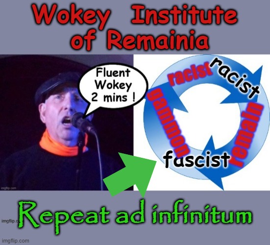 Fluent Wokey in 2 minutes | Wokey  Institute
 of Remainia; Repeat ad infinitum | image tagged in woke | made w/ Imgflip meme maker