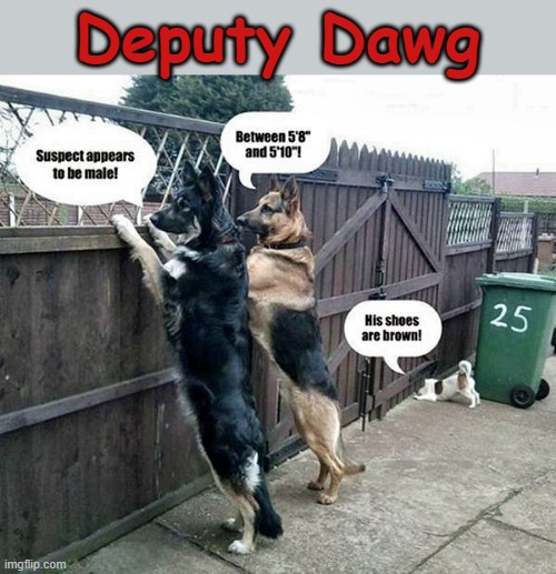 Deputy Dawg ! | Deputy Dawg | image tagged in underdog | made w/ Imgflip meme maker