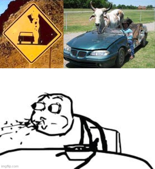 image tagged in cereal guy spitting,cow,traffic,signal,oh wow are you actually reading these tags,stop reading the tags | made w/ Imgflip meme maker