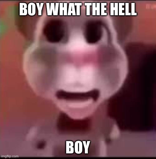 The hell boy | BOY WHAT THE HELL; BOY | image tagged in boy,what,the,hell | made w/ Imgflip meme maker