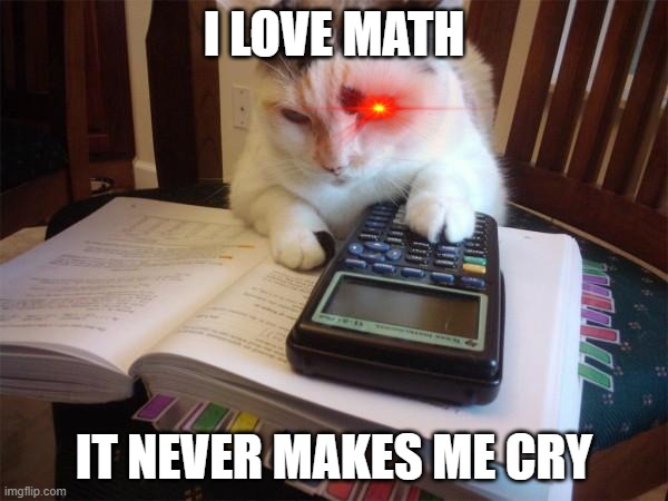 Cat Loves Math |  I LOVE MATH; IT NEVER MAKES ME CRY | image tagged in math cat | made w/ Imgflip meme maker