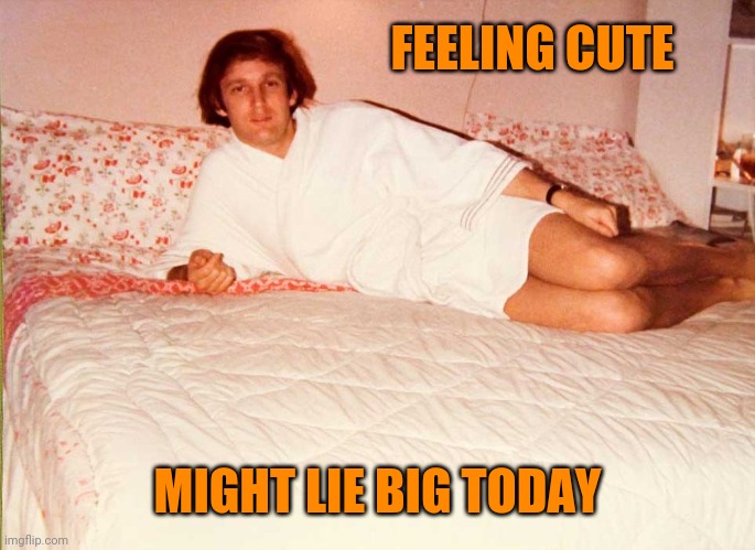 Trump Bed | FEELING CUTE; MIGHT LIE BIG TODAY | image tagged in trump bed | made w/ Imgflip meme maker