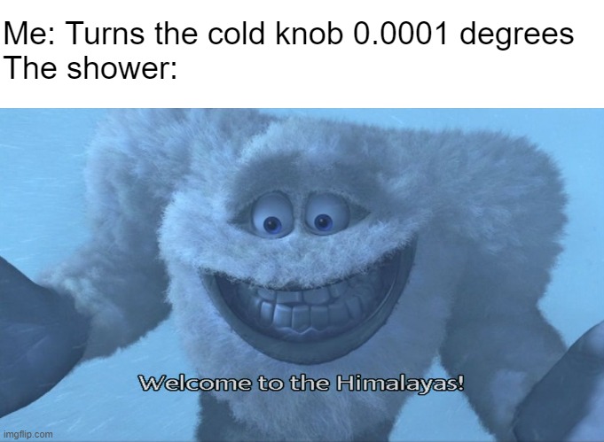 true story, happened today V-V |  Me: Turns the cold knob 0.0001 degrees
The shower: | image tagged in blank white template,welcome to the himalayas,cold,shower,monsters inc | made w/ Imgflip meme maker