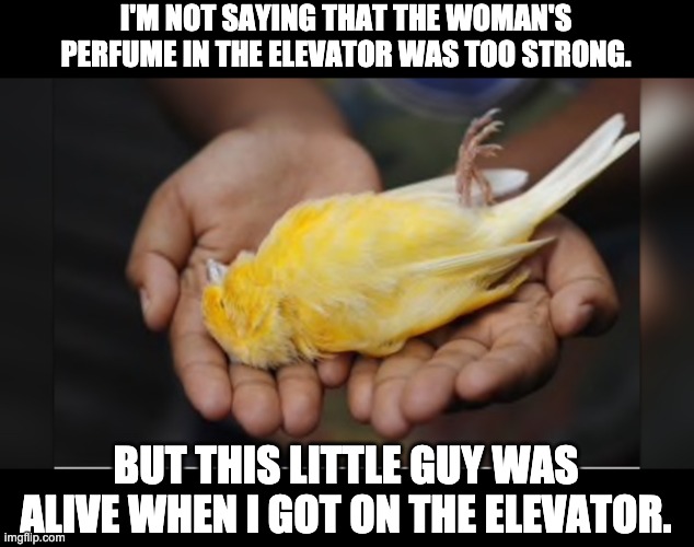 Strong perfume | I'M NOT SAYING THAT THE WOMAN'S PERFUME IN THE ELEVATOR WAS TOO STRONG. BUT THIS LITTLE GUY WAS ALIVE WHEN I GOT ON THE ELEVATOR. | image tagged in perfume | made w/ Imgflip meme maker