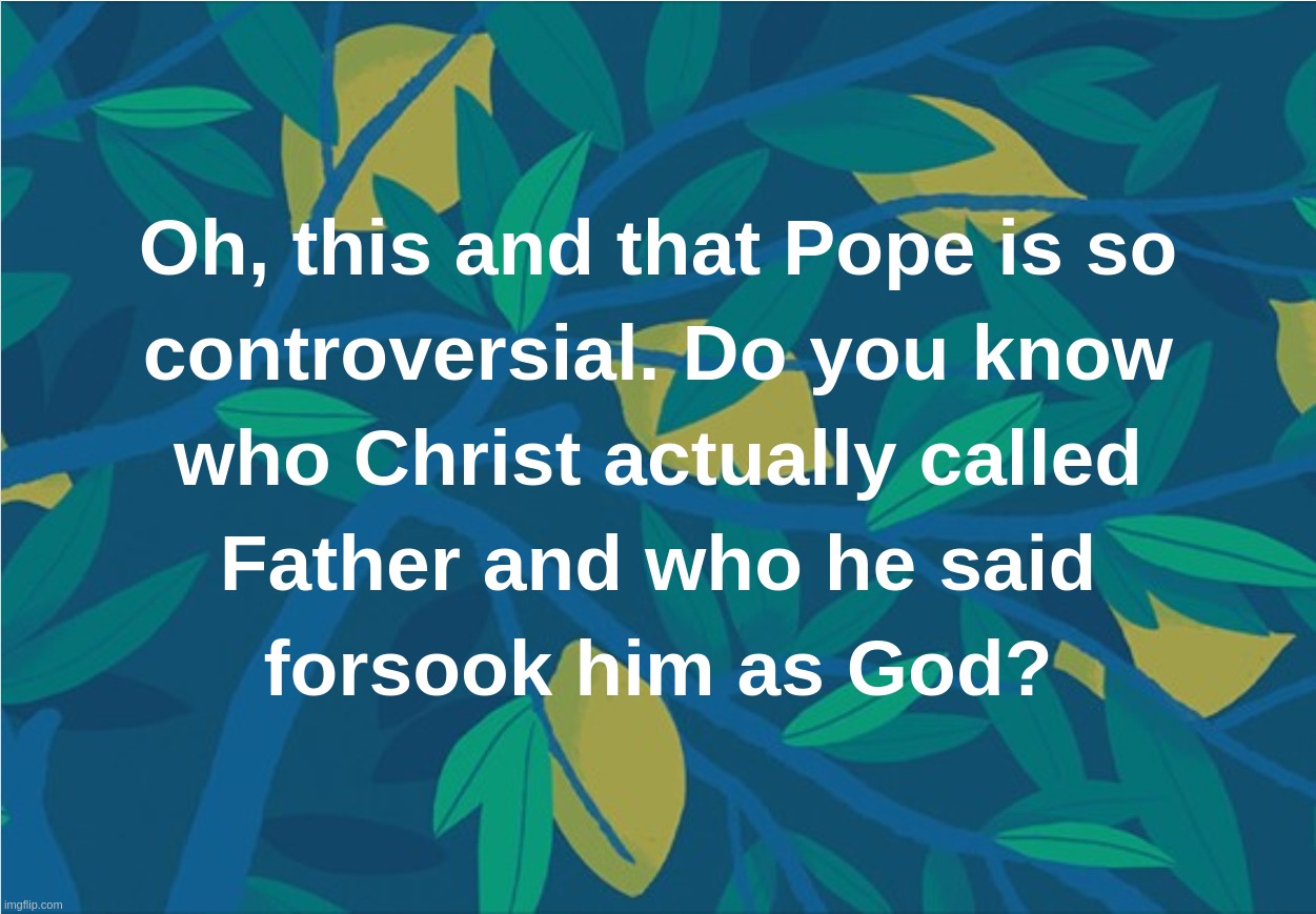 Oh, this and that Pope is so controversial. Do you know who Christ actually called Father and who he said forsook him as God? | image tagged in pope,god,jesus christ,abba,forsaken,father | made w/ Imgflip meme maker