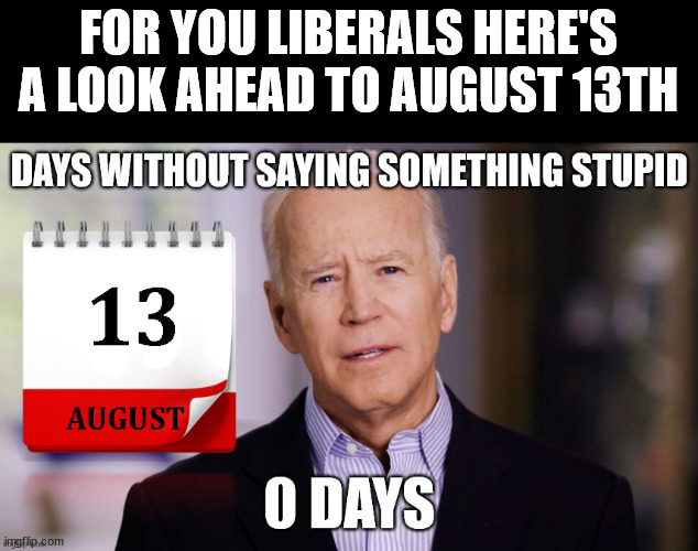 August 13th | FOR YOU LIBERALS HERE'S A LOOK AHEAD TO AUGUST 13TH | image tagged in joe biden | made w/ Imgflip meme maker