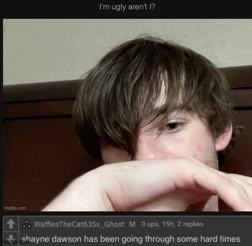 made w/ Imgflip meme maker