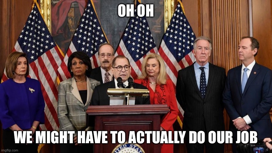 House Democrats | OH OH WE MIGHT HAVE TO ACTUALLY DO OUR JOB | image tagged in house democrats | made w/ Imgflip meme maker