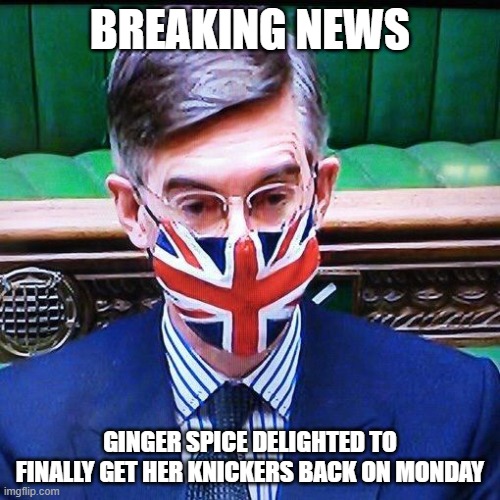 Mogg | BREAKING NEWS; GINGER SPICE DELIGHTED TO FINALLY GET HER KNICKERS BACK ON MONDAY | image tagged in face mask | made w/ Imgflip meme maker