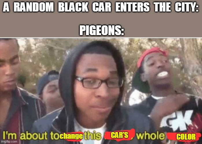 I’m about to ruin this man’s whole career | A  RANDOM  BLACK  CAR  ENTERS  THE  CITY:; PIGEONS:; CAR'S; change; COLOR | image tagged in i m about to ruin this man s whole career | made w/ Imgflip meme maker