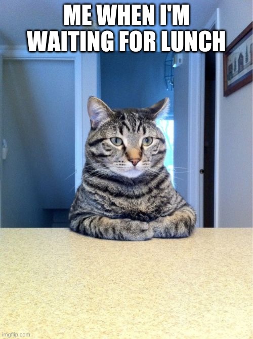 Lunch be like | ME WHEN I'M WAITING FOR LUNCH | image tagged in memes,take a seat cat,funny,animals,cats,lunch | made w/ Imgflip meme maker