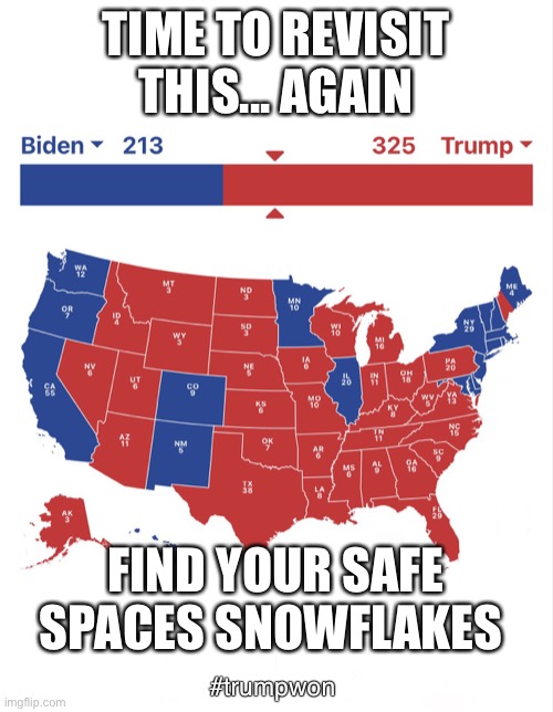 Real (Legal) results of the 2020 Election | TIME TO REVISIT THIS... AGAIN; FIND YOUR SAFE SPACES SNOWFLAKES; #trumpwon | image tagged in real legal results of the 2020 election | made w/ Imgflip meme maker