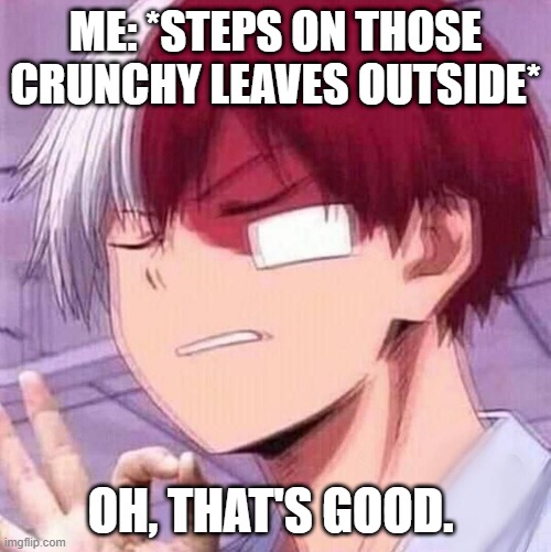 Todoroki and the leaves | ME: *STEPS ON THOSE CRUNCHY LEAVES OUTSIDE*; OH, THAT'S GOOD. | image tagged in todoroki | made w/ Imgflip meme maker