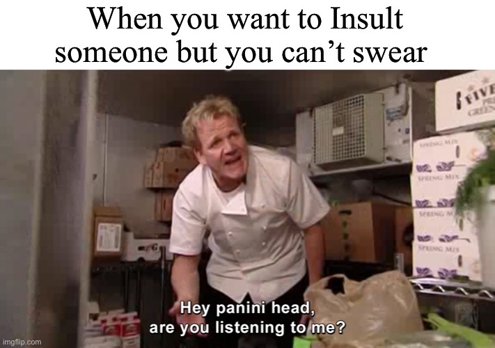 P a n i n i | When you want to Insult someone but you can’t swear | image tagged in hey panini head are you listening to me | made w/ Imgflip meme maker
