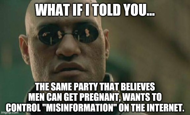 It's fkn stupid. | WHAT IF I TOLD YOU... THE SAME PARTY THAT BELIEVES MEN CAN GET PREGNANT, WANTS TO CONTROL "MISINFORMATION" ON THE INTERNET. | image tagged in memes | made w/ Imgflip meme maker