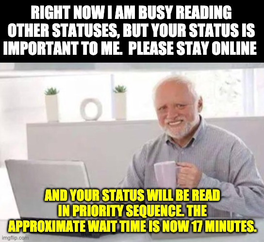 Status | RIGHT NOW I AM BUSY READING OTHER STATUSES, BUT YOUR STATUS IS IMPORTANT TO ME.  PLEASE STAY ONLINE; AND YOUR STATUS WILL BE READ IN PRIORITY SEQUENCE. THE APPROXIMATE WAIT TIME IS NOW 17 MINUTES. | image tagged in harold | made w/ Imgflip meme maker