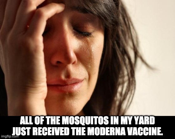 Eaten alive | ALL OF THE MOSQUITOS IN MY YARD JUST RECEIVED THE MODERNA VACCINE. | image tagged in memes,first world problems | made w/ Imgflip meme maker