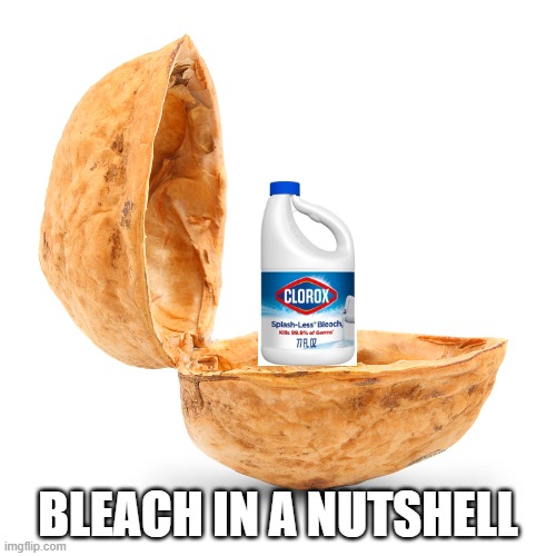 Bleach in a nutshell | BLEACH IN A NUTSHELL | image tagged in memes | made w/ Imgflip meme maker
