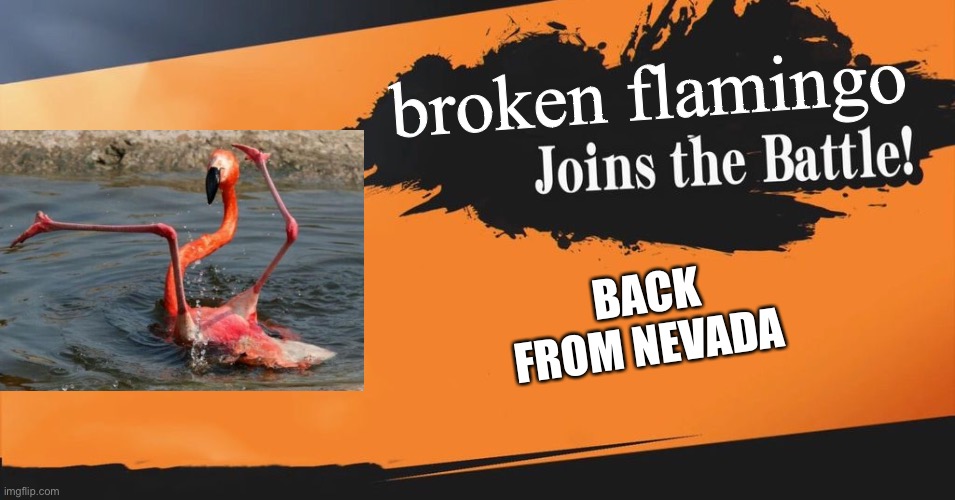 Smash Bros. | broken flamingo; BACK FROM NEVADA | image tagged in smash bros | made w/ Imgflip meme maker
